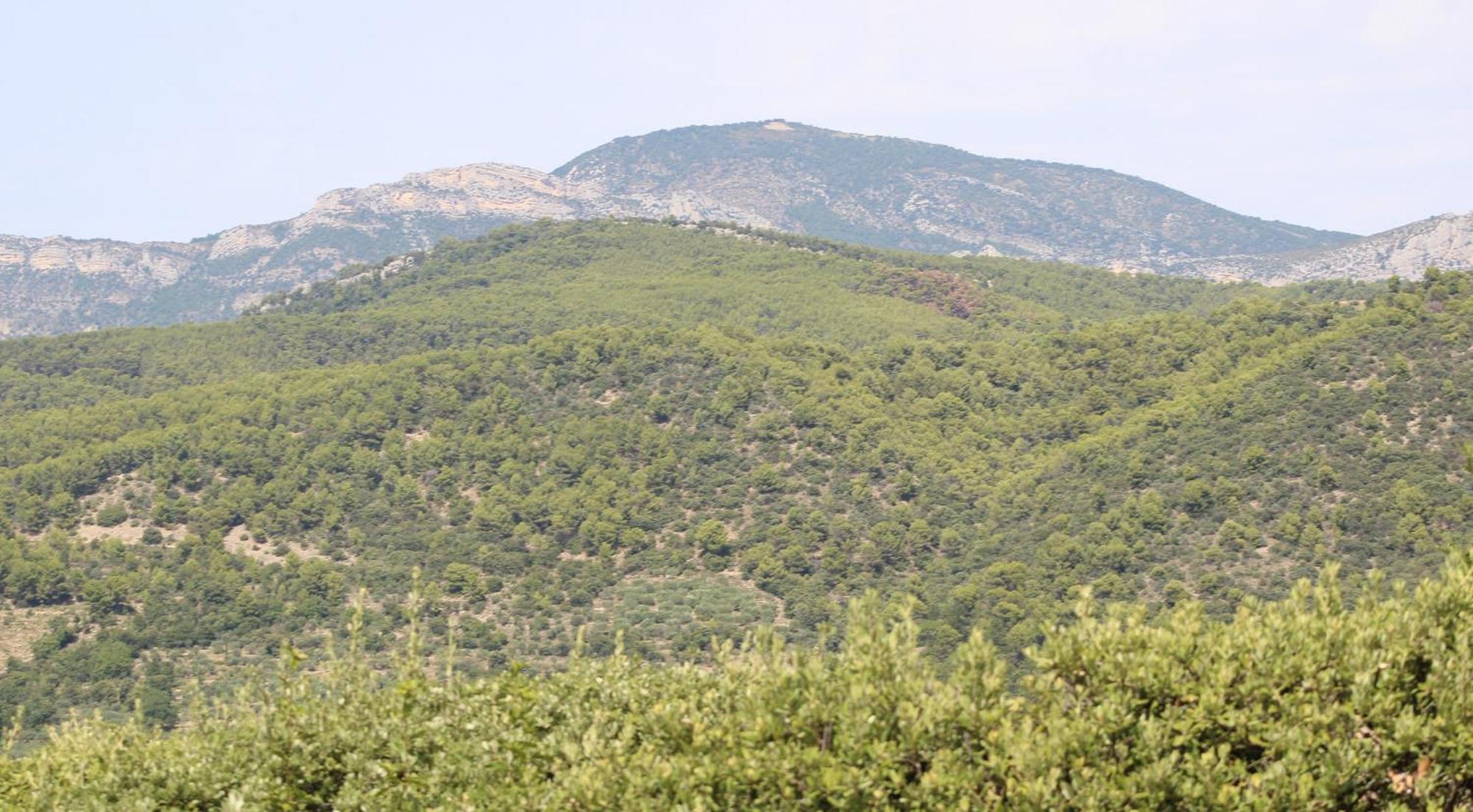 Vila Le Pas Du Ventoux Mollans-sur-Ouvèze Exteriér fotografie