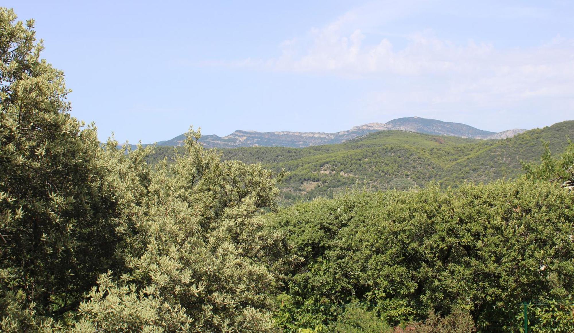 Vila Le Pas Du Ventoux Mollans-sur-Ouvèze Exteriér fotografie